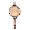Titan Quartz Analog with Date Rose Gold Dial Metal Strap Watch for Women 2578QM01