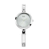 Titan Raga Viva Grey Dial Women Watch With Metal Strap 2606SM04