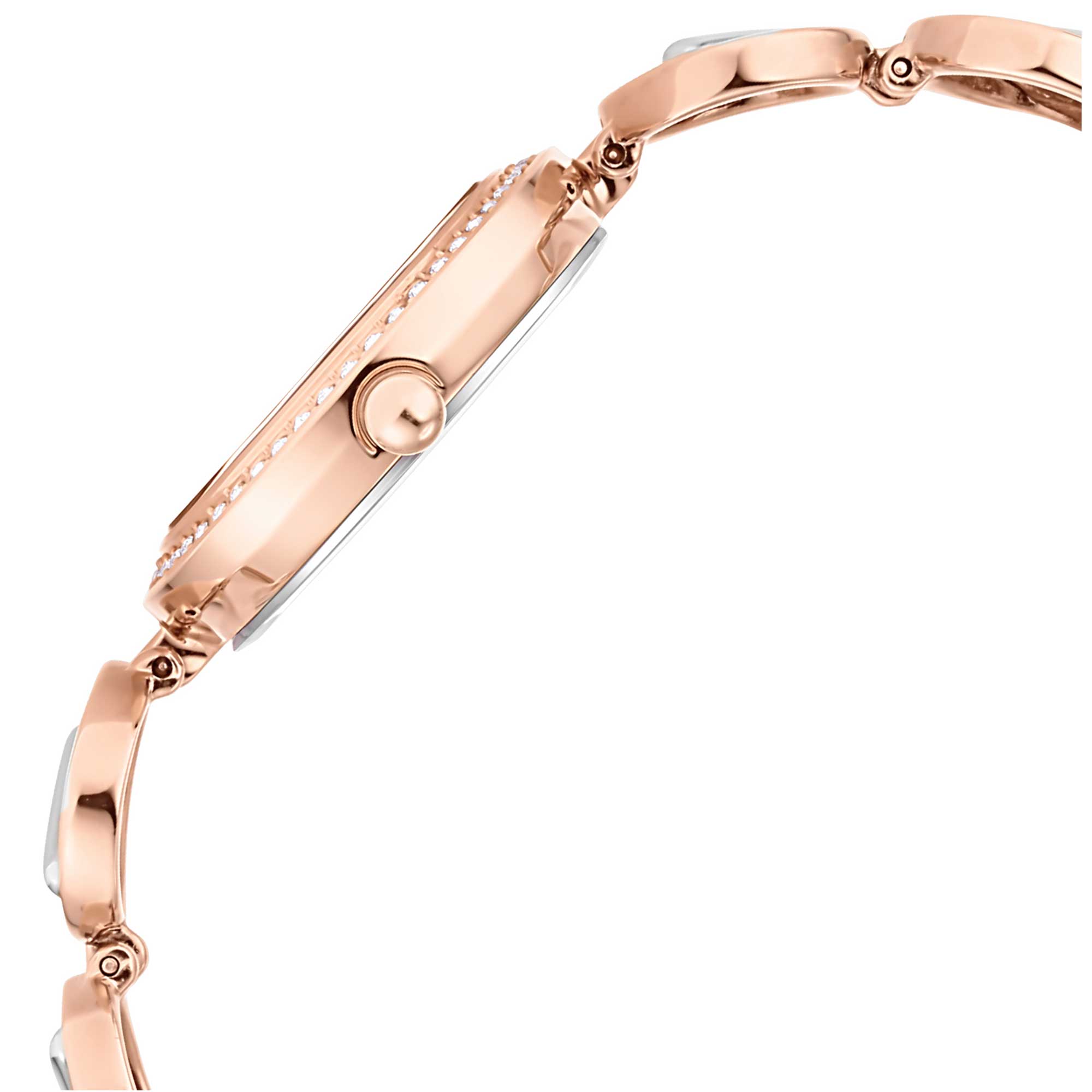 Titan Raga Viva Quartz Analog Rose Gold Dial Two Toned Metal Strap Watch For Women 2643KM01