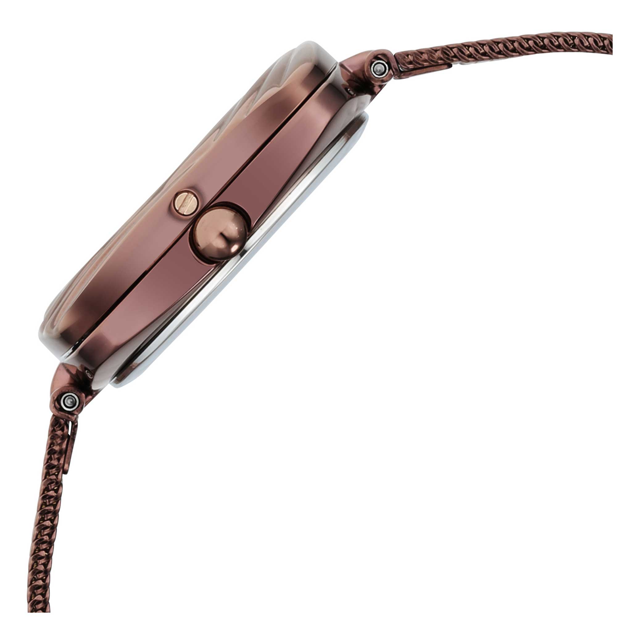 Titan Raga Moments of Joy Brown Dial Analog Stainless Steel Strap Watch for Women 95139QM02