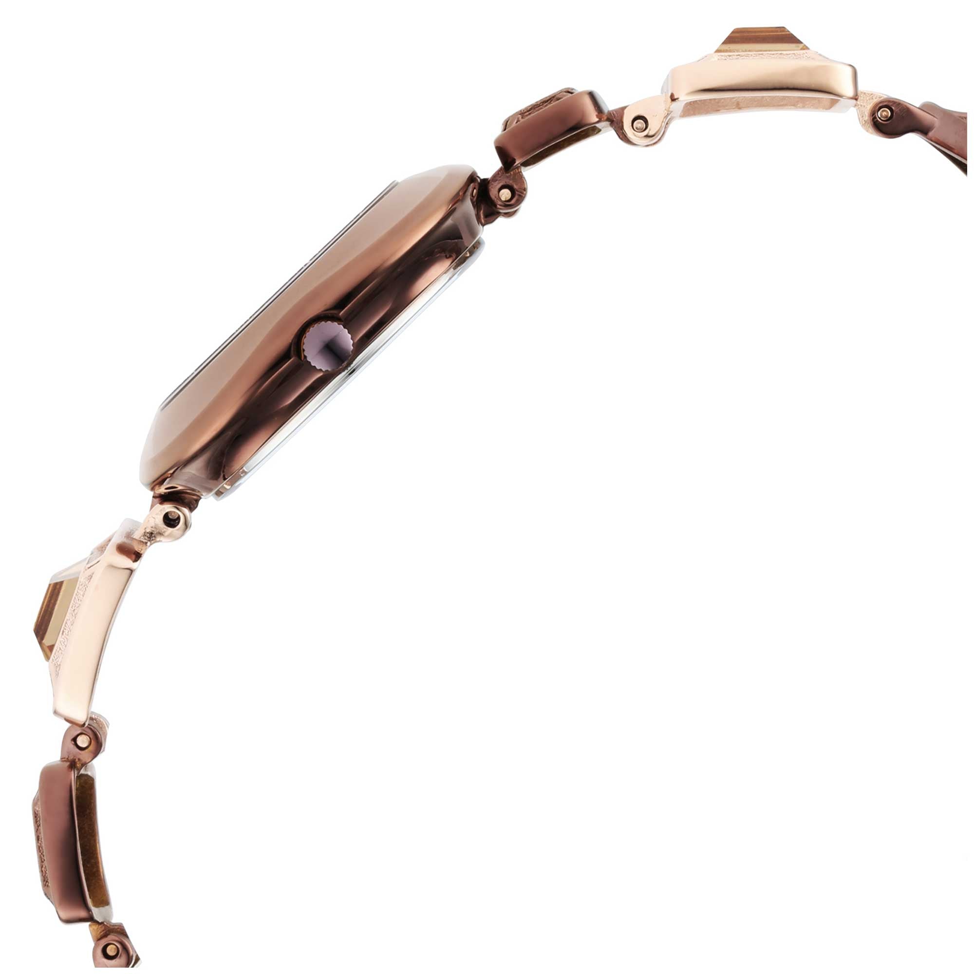 Titan Raga Love All Brown Dial Analog Metal Strap watch for WoMen 95156KM01
